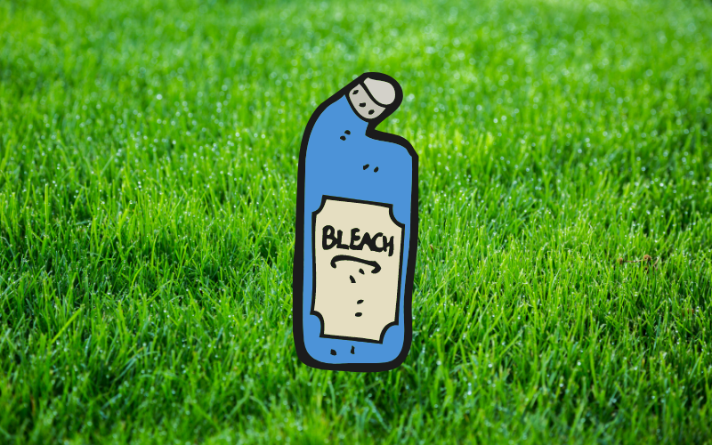 ¿Bleach mata la hierba?